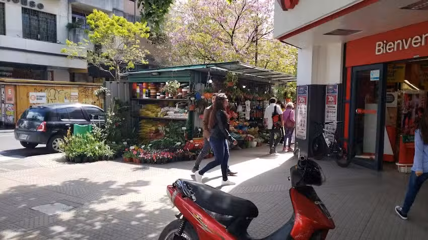 La Rosa de Sar&oacute;n