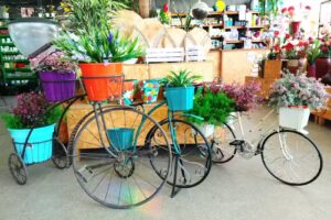 Las Acacias Nature Shop