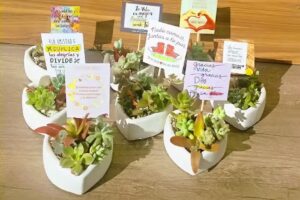 Luc&iacute;a cactusycrasas