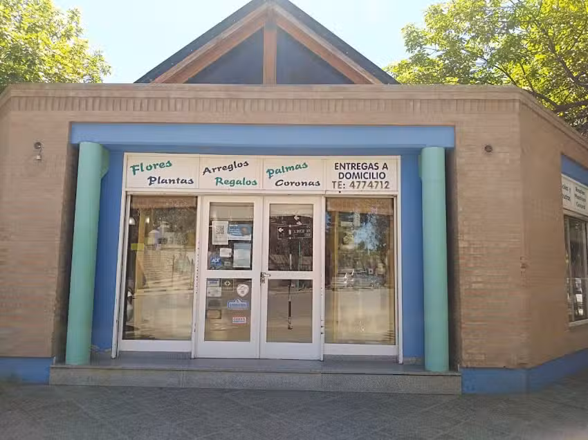 Pensamientos Floreria