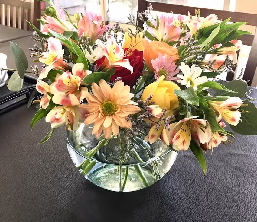 Pense en flores, Mar de las Pampas