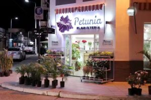 Petunia Florister&iacute;a