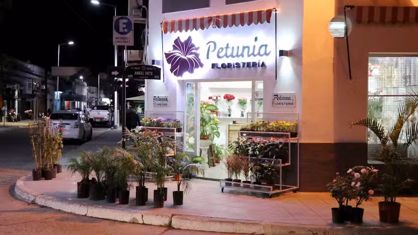 Petunia Florister&iacute;a