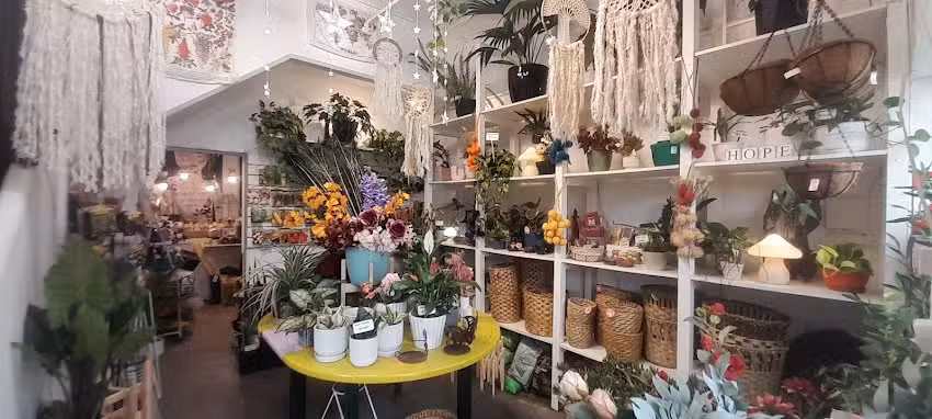 Planta Boulevard &ndash; Vivero &ndash; Floreria &ndash; Deco