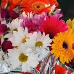 Puesto de plantas y flores