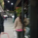 Puesto de plantas y flores