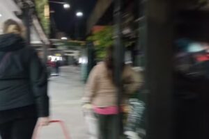 Puesto de plantas y flores