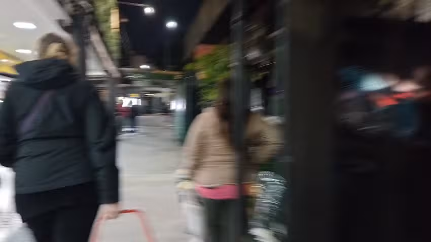 Puesto de plantas y flores