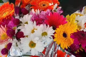 Puesto de plantas y flores