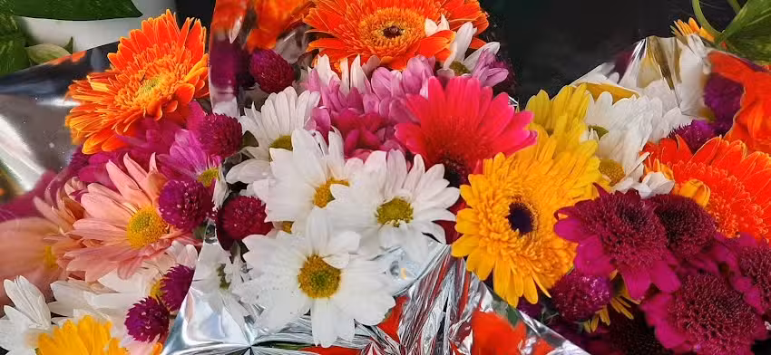 Puesto de plantas y flores