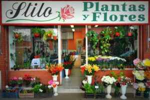 Stilo Plantas Y Flores