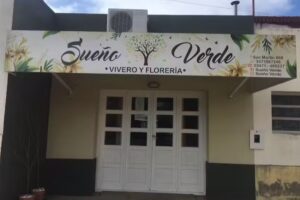 Sue&ntilde;o verde