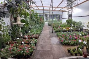 V.A. tienda de flores