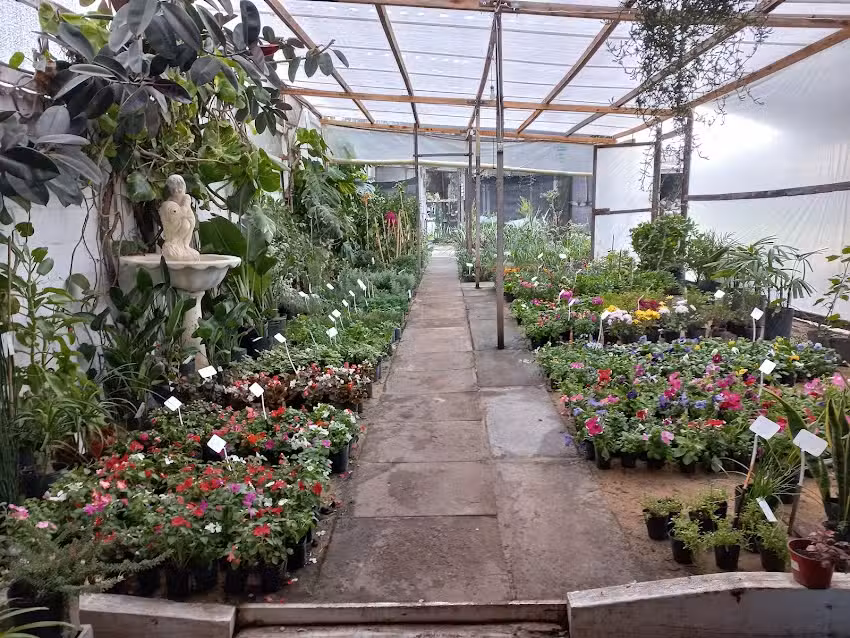 V.A. tienda de flores