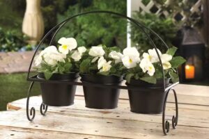 VENTA DE FLORES NATURALES