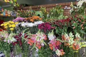 V&iacute;a Para&iacute;so