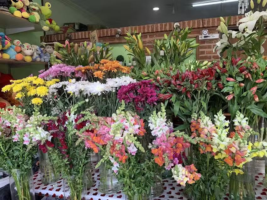 V&iacute;a Para&iacute;so