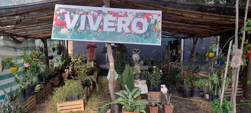 Vivero
