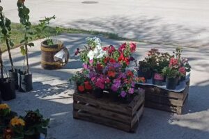 Vivero jard&iacute;n de Martha