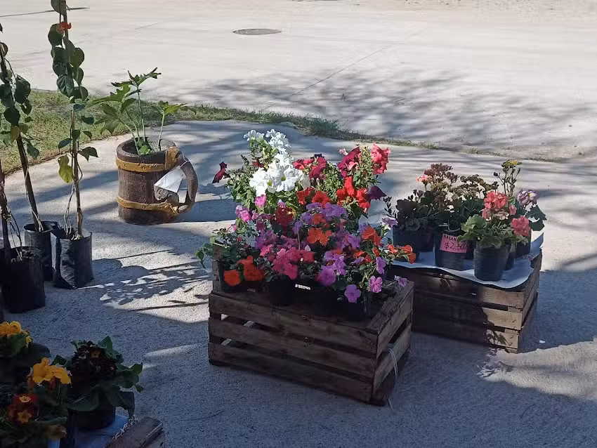 Vivero jard&iacute;n de Martha