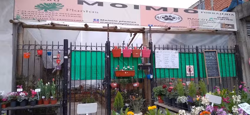 Vivero moimio plantas