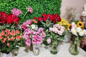 Vivero Semilla y Florer&iacute;a Encanto Floral 🍃