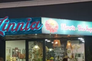 Zinnia Florer&iacute;a &ndash; Deco Hogar