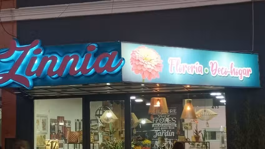 Zinnia Florer&iacute;a &ndash; Deco Hogar